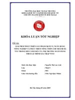 Giải pháp phát triển sản phẩm dịch vụ ngân hàng nông nghiệp và phát triển nông thôn chi nhánh hà tây trong bối cảnh mở cửa thị trường ngân hangf