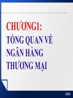Chương 1 - Tổng quan ngân hàng thương mại, Môn Nghiệp vụ ngân hàng Thương mại