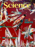 Tạp chí khoa học số  2005-01-21