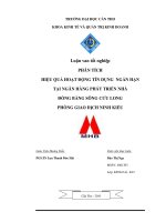 phận tích hiệu quả hoạt động tín dụng ngắn hạn tại ngân hàng phát triển nhà đồng bằng sông cửu long, phòng giao dịch ninh kiều