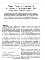 genetic evolution processing of data structures for image classification