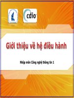 Giáo án - bài giảng:  Giới thiệu về hệ điều hành windows (căn bản)