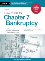 how to file for chapter 7 bankruptcy 17th (2011)