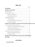 Sự can thiệp của nhằm hạn chế ngoại tác ô nhiễm môi  trường và thực tế triển khai ở Việt Nam