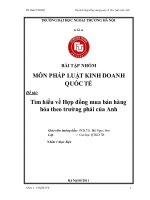 tiểu luận tìm hiểu về hợp đồng mua bán hàng hóa theo trường phái của anh