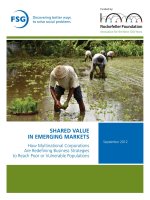 Shared value in emerging markets (chia se GT tai cac thi truong moi noi)