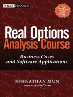 Real options analysis course business cases and software applications