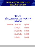 TIỂ U LUẬN  MÔN HỌC ỨNG DỤNG NĂNG LƯỢNG NƯỚC TRÊN SÔNG