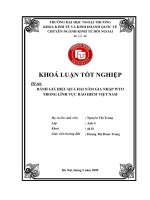 Đánh giá hiệu quả hai năm gia nhập WTO trong lĩnh vực bảo hiểm Việt Nam