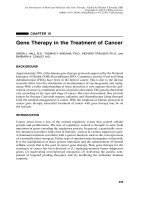 gene therapy in the treatment of cancer