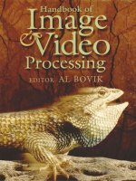 bovik, a. (2000). handbook of image and video processing