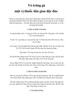 Vỏ trứng gà một vị thuốc dân gian độc đáo docx