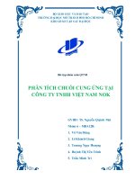 Phân tích chuỗi cung ứng của công ty việt nam NOK (VNN)