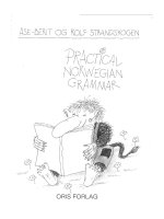 02 practical norwegian grammar