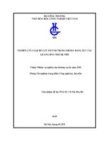 Nghiên cứu loại bỏ lưu huỳnh trong diesel bằng xúc tác quang thế hệ mới