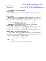 ĐỀ THỬ ĐẠI HỌC MÔN VĂN - Khối: D ( NĂM HỌC 2013 ) pdf