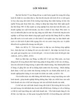 một số giải pháp nhằm nâng cao hiệu quả công tác huy động và sử dụng vốn kinh doanh tại công ty tnhh việt hồng