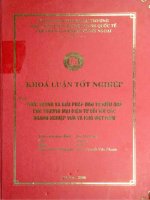 khóa luận tốt nghiệp thực trạng và giải pháp đầu tư hiệu quả cho thương mại điện tử đối với các doanh nghiệp vừa và nhỏ việt nam