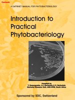 introduction to practical phytobacteriology