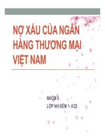 Thuyết trình nợ xấu của ngân hàng thương mại việt nam