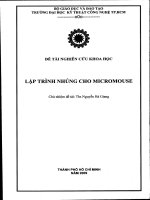 Đề tài : Lập trình nhúng cho micromouse