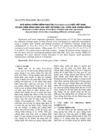 Khả năng chống bệnh đạo ôn (Pyricularia oryzae) bắc Việt Nam và đặc điểm nông sinh học một số dòng lúa chứa gen chống bệnh pdf