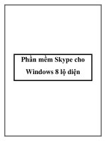 Phần mềm Skype cho Windows 8 lộ diện pot