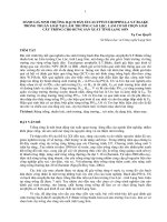 ĐÁNH GIÁ SINH TRƯỞNG BẠCH ĐÀN EUCALYPTUS UROPHYLLA S.T BLAKE TRỒNG THUẦN LOÀI TẠI LÂM TRƯỜNG CAO LỘC, LÀM CƠ SỞ CHỌN LOÀI CÂY TRỒNG CHO RỪNG SẢN XUẤT TỈNH LẠNG SƠN ppt