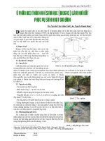 Ủ PHÂN HEO THÀNH KHÍ SINH HỌC (BIOGAS) LÀỦ LÀM KHÍ ĐỐT PHỤC VỤ SINH HOẠT GIA ĐÌNH potx