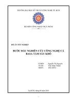 bước đầu nghiên cứu công nghệ cá basa tẩm sấy khô