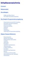 delphi 5 - delphi 5 referenz und praxis