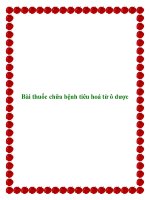 Bài thuốc chữa bệnh tiêu hoá từ ô dược pot