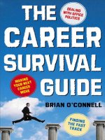 The career survival guide (2003)