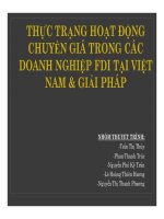 thuyết trình thực trạng hoạt động chuyển giá trong các doanh nghiệp fdi tại việt nam và giải pháp