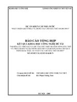 Nghiên cứu thiết kế và chế thử thiết bị hâm nóng dầu thô và thiết bị bảo vệ hệ thống khí trơ và khoang hàng cho quá trình khai thác an toàn tàu chở dầu thô 100 000t