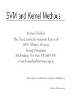 svm and kernel methods