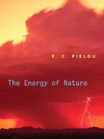 pielou - the energy of nature (chicago, 2001)