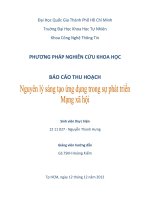 tiểu luận nguyên lý sáng tạo ứng dụng trong sự phát triển mạng xã hội