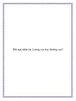 Đãi ngộ nhân tài: Lương cao hay thưởng cao? docx