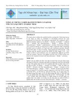 ƯƠNG ẤU TRÙNG CÁ BÓP (RACHYCENTRON CANADUM) VỚI CÁC LOẠI THỨC ĂN KHÁC NHAU pptx