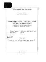 Nghiên cứu chiến lược phát triển kết cấu hạ tầng đô thị (ứng dụng vào việc quy hoạch phát triển kết cấu hạ tầng thủ đô Hà Nội)
