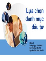 lựa chon danh mục đầu tư