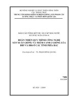hoàn thiện qui trình công nghệ sản xuất hạt giống và thâm canh 2 giống lúa đb5 và đb6 ở các tỉnh phía bắc