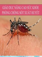 Phòng chống SỐT XUẤT HUYẾT