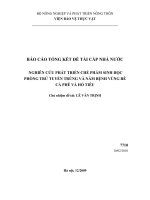 Nghiên cứu phát triển chế phẩm sinh học phòng trừ tuyến trùng và nấm bệnh vùng rễ cà phê và hồ tiêu