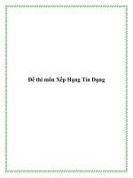 Đề thi môn Xếp Hạng Tín Dụng pot