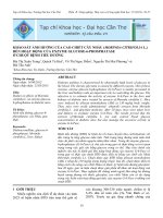 KHẢO SÁT ẢNH HƯỞNG CỦA CAO CHIẾT CÂY NHÀU (MORINDA CITRIFOLIA L.) ĐẾN HOẠT ĐỘNG CỦA ENZYME GLUCOSE-6-PHOSPHATASE Ở CHUỘT BỆNH TIỂU ĐƯỜNG doc