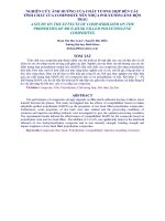 NGHIÊN CỨU ẢNH HƯỞNG CỦA CHẤT TƯƠNG HỢP ĐẾN CÁC TÍNH CHẤT CỦA COMPOSITE NỀN NHỰA POLYETHYLENE ĐỘN TRẤU docx