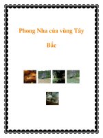 Phong Nha của vùng Tây Bắc pptx