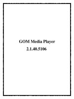 GOM Media Player 2.1.40.5106 pot